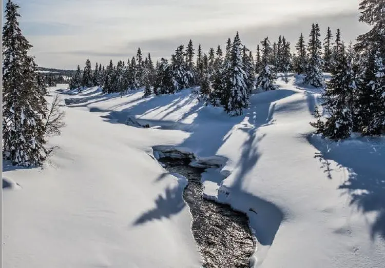 2018 Ringsakerfjellet 2 jpg