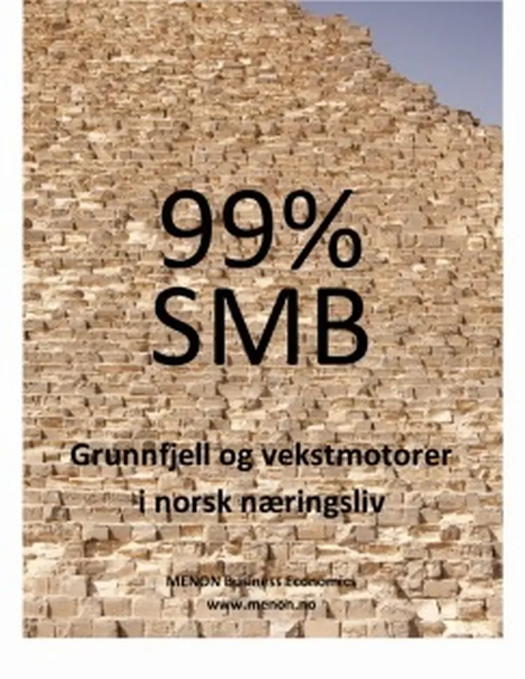 Menonpubl13200999smb 243x314
