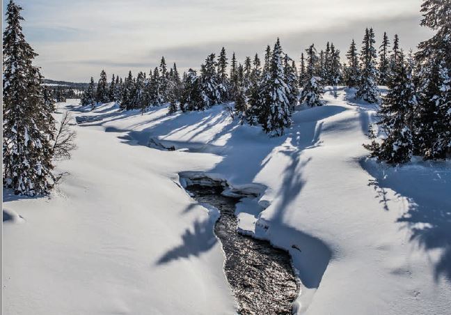 2018 Ringsakerfjellet 2 jpg