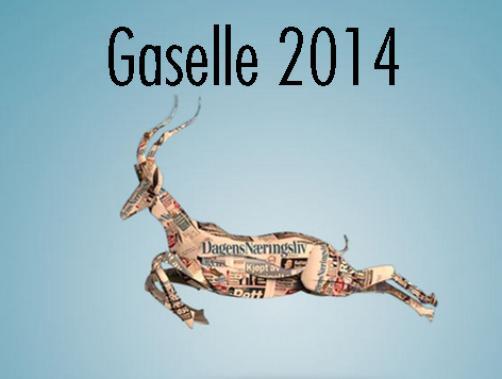 Gaselle2014 jpg