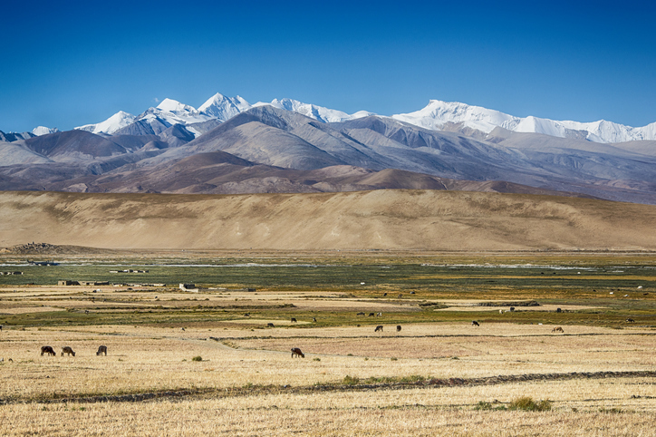 Tibet jpg