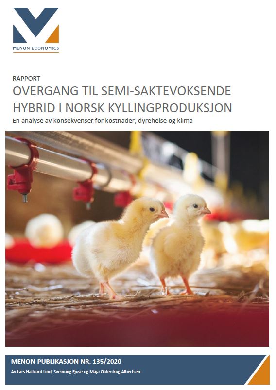 Overgang til semi-saktevoksende hybrid i norsk kyllingproduksjon